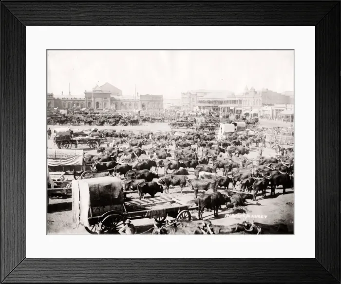 Framed Print : Morning market, Johannesburg, South Africa, c. 1900 Framed Print : Morning market, Johannesburg, South Africa, c. 1900