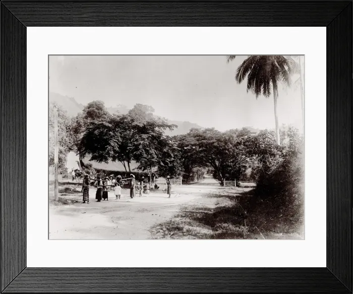 Framed Print : Children being carried in a sedan chair, Singapore Framed Print : Children being carried in a sedan chair, Singapore