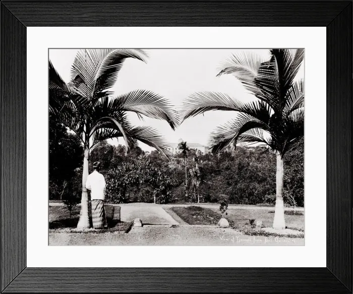 Framed Print : Tyersall from the Botanical Gardens Singapore Framed Print : Tyersall from the Botanical Gardens Singapore