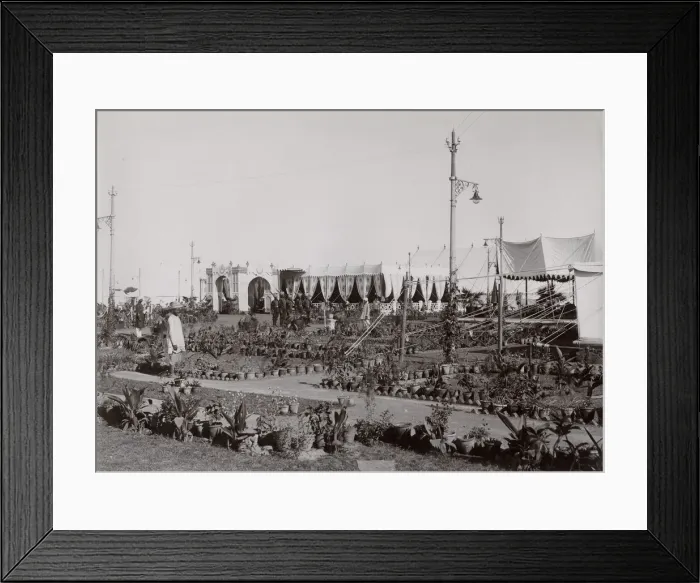 Framed Print : Delhi at the time of the Delhi Durbar, India Framed Print : Delhi at the time of the Delhi Durbar, India