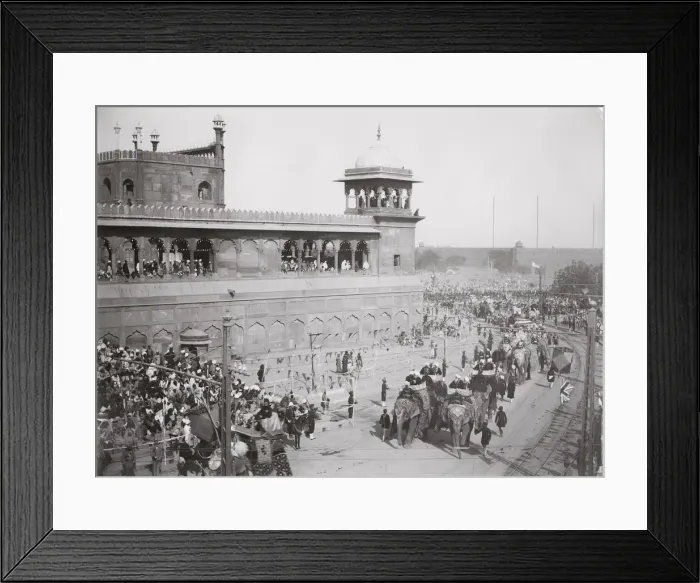 Framed Print : Delhi Durbar probably 1911, Elephants in procession Framed Print : Delhi Durbar probably 1911, Elephants in procession