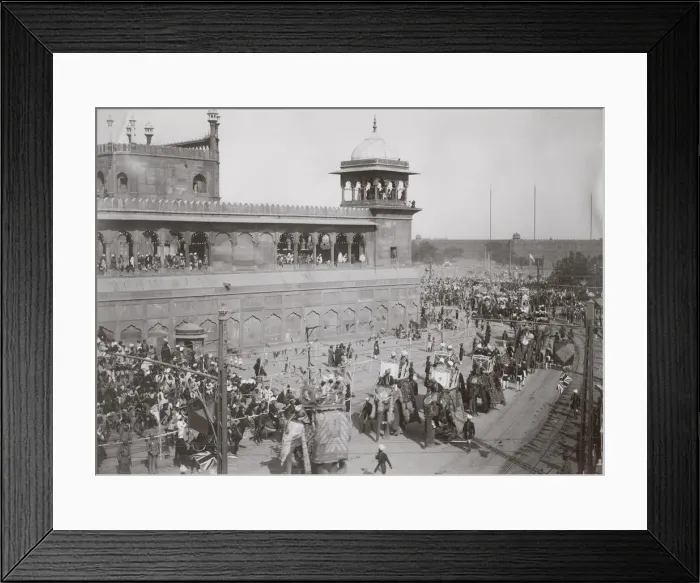 Framed Print : Delhi Durbar, probably 1911, Elephants in procession Framed Print : Delhi Durbar, probably 1911, Elephants in procession