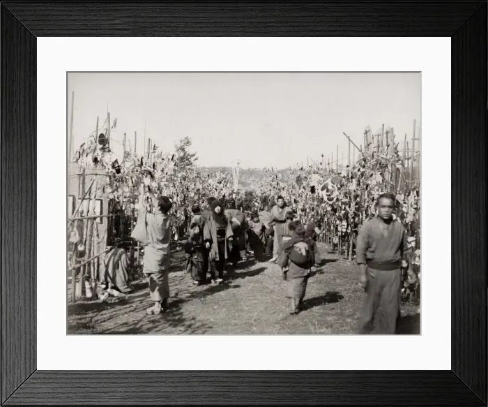 Framed Print : Tori No Ichi festival, Cock Festival, kumade sellers, Japan Framed Print : Tori No Ichi festival, Cock Festival, kumade sellers, Japan