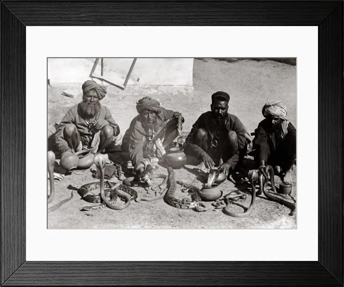 Framed Print : c. 1880s India snake charmers Framed Print : c. 1880s India snake charmers