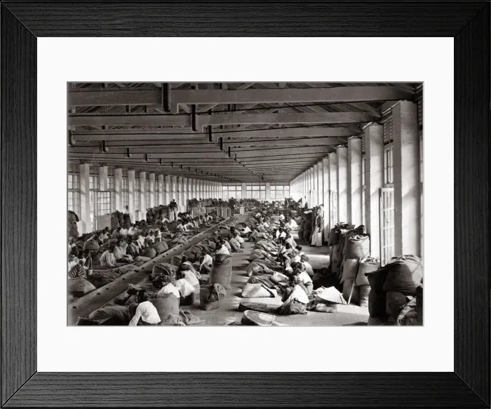 Framed Print : Sorting coffee in a factory, India or Ceylon / Sri Lanka Framed Print : Sorting coffee in a factory, India or Ceylon / Sri Lanka