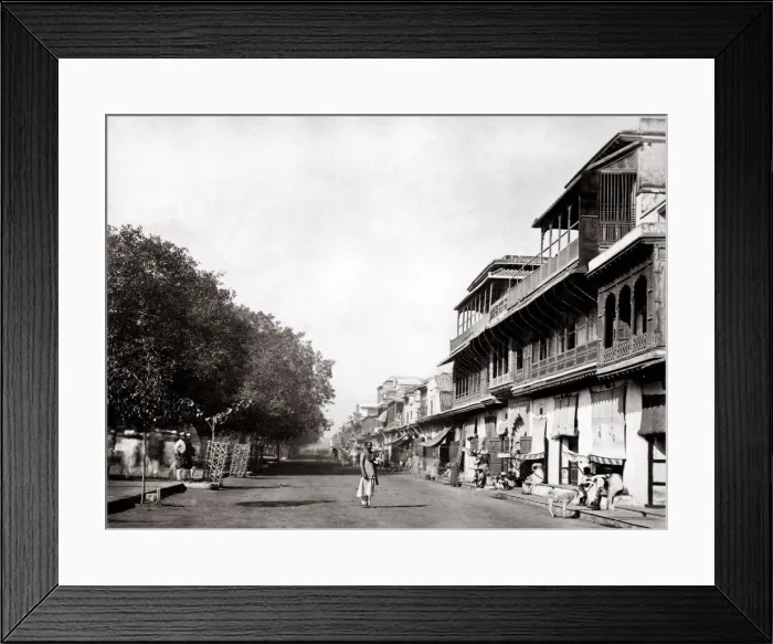 Framed Print : c. 1870s India - the principal street in Delhi Framed Print : c. 1870s India - the principal street in Delhi