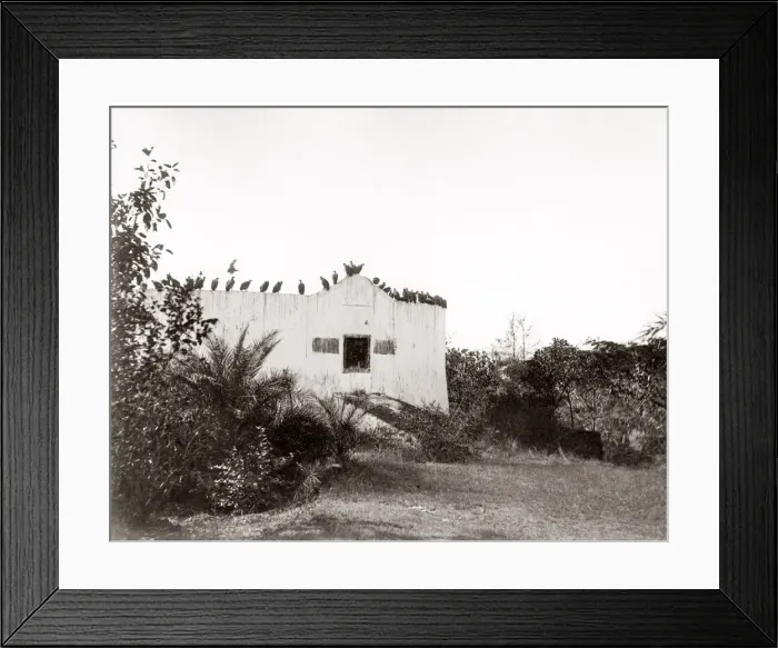 Framed Print : India - Tower of Silence excarnation Bombay Mumbai Framed Print : India - Tower of Silence excarnation Bombay Mumbai