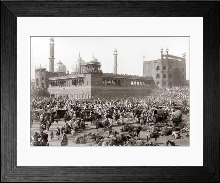 Framed Print : India ceremony related to Delhi Durbar - probably 1903 Framed Print : India ceremony related to Delhi Durbar - probably 1903