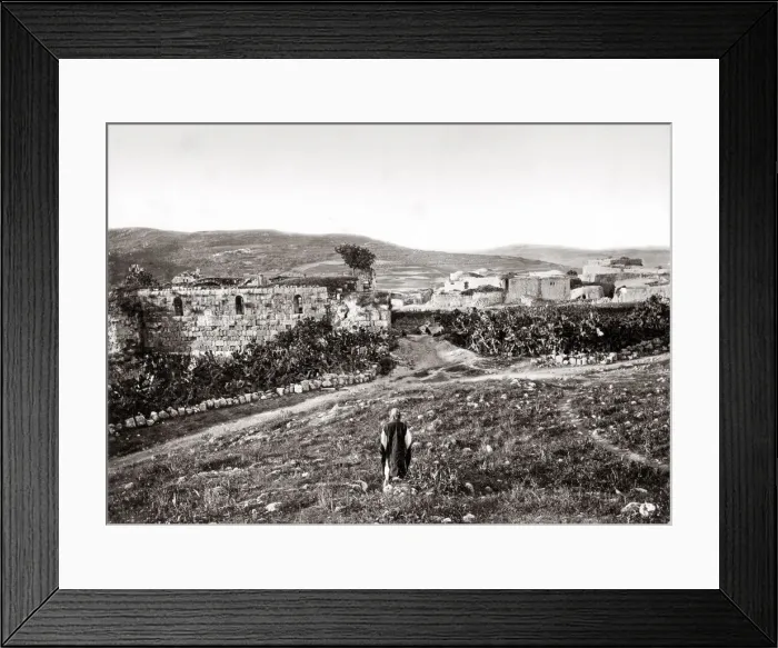 Framed Print : c. 1880s Holy Land Palestine Israel - Samaria - Bonfils studio Framed Print : c. 1880s Holy Land Palestine Israel - Samaria - Bonfils studio
