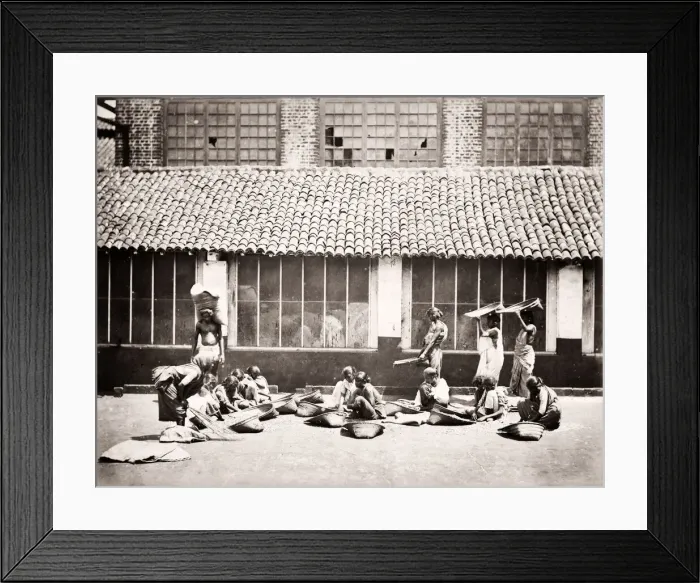 Framed Print : India - girls cleaning and sorting coffee beans Framed Print : India - girls cleaning and sorting coffee beans