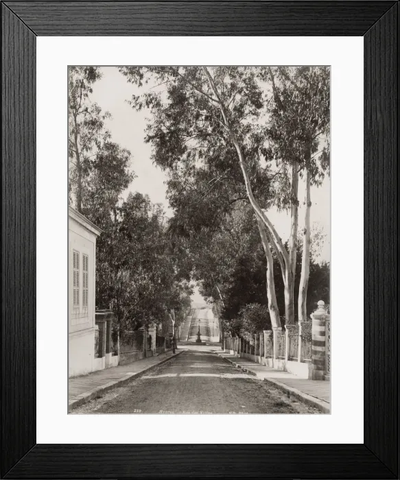 Framed Print : Hyeres, Rue des Villas, France Framed Print : Hyeres, Rue des Villas, France