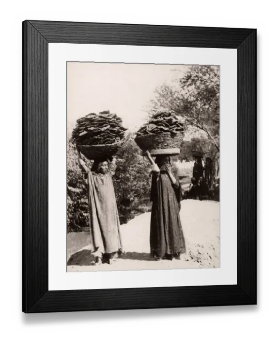 Framed Print : Women carrying dried manure for fuel, India Framed Print : Women carrying dried manure for fuel, India