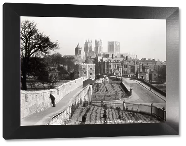 The city wall, York, Minster in the background