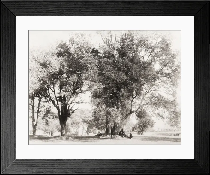 Framed Print : Public gardens, Gonda, India, photographer with camera Framed Print : Public gardens, Gonda, India, photographer with camera