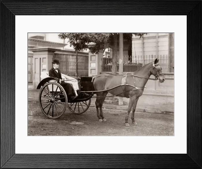 Framed Print : India - European man with a pony and trap
