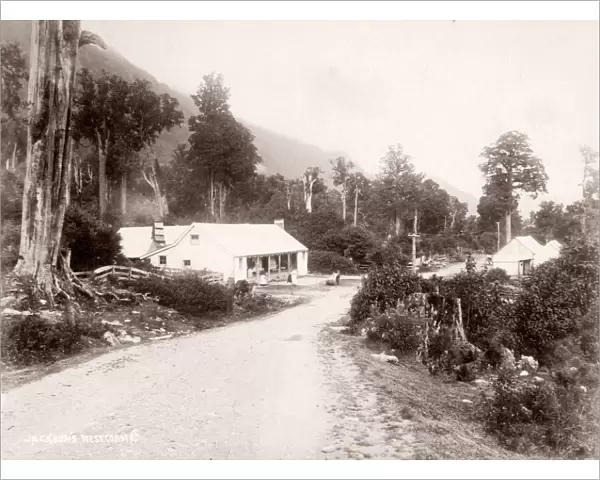 c. 1890s New Zealand - Jackson, west coast