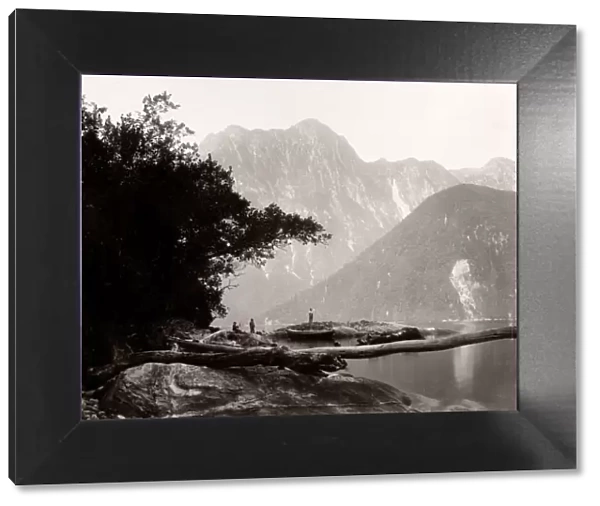 c. 1890s New Zealand - Harrison Cove, Milford Sound