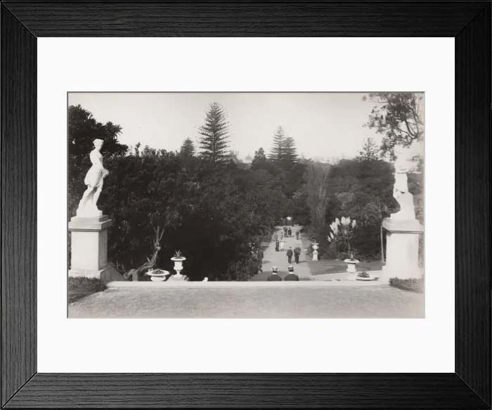 Framed Print : Australia - Sydney, Botanical Gardens Framed Print : Australia - Sydney, Botanical Gardens