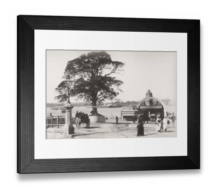 Framed Print : Australia - Sydney, Milsons Point Framed Print : Australia - Sydney, Milsons Point