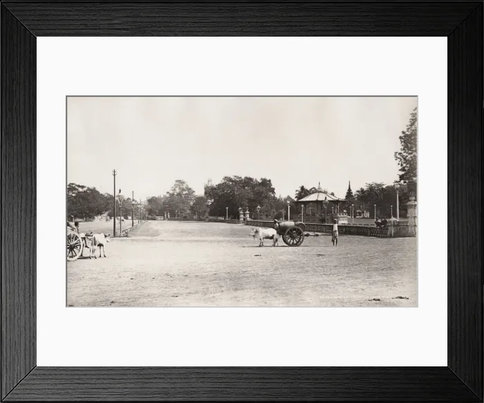 Framed Print : Water cart, Eden Garden, Calcutta, Kolkata, India
