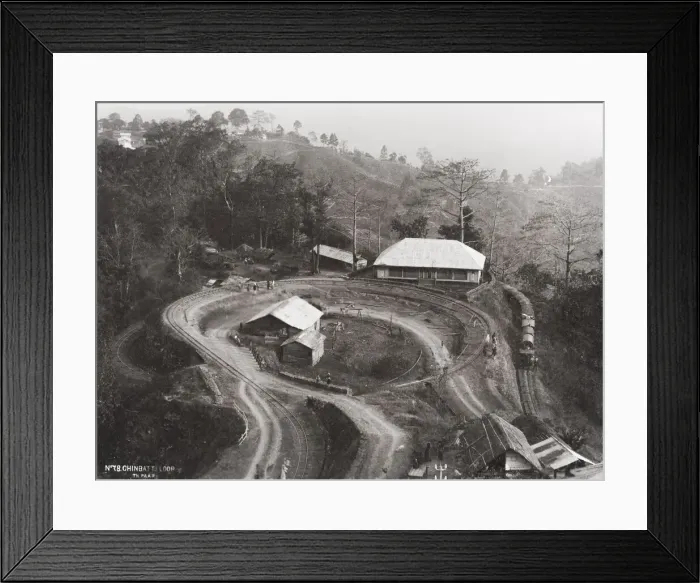 Framed Print : Chinbatti loop, tracks on Darjeeling Railway, railroad, India Framed Print : Chinbatti loop, tracks on Darjeeling Railway, railroad, India