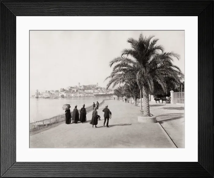 Framed Print : The Promenade de la Croisette, Cannes, France Framed Print : The Promenade de la Croisette, Cannes, France