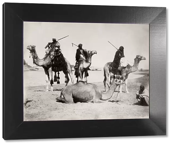 Men with guns mounted on camels, Egypt