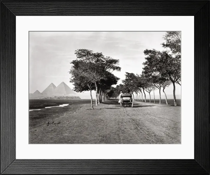 Framed Print : Carriage on the road to the Pyramids, Egypt, c. 1880 s Framed Print : Carriage on the road to the Pyramids, Egypt, c. 1880 s