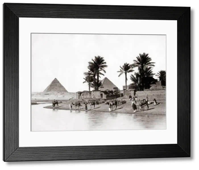 Framed Print : River Nile, Camels, village Great Pryamid, Egypt