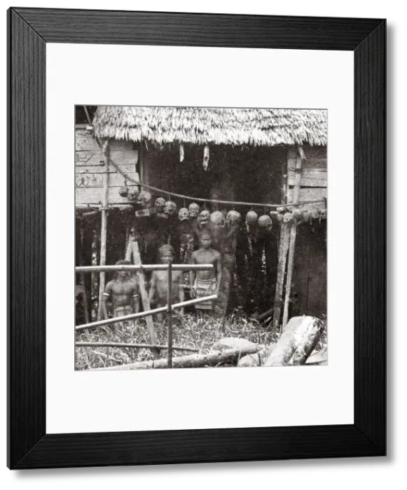 Framed Print : House belonging to headhunting tribe with skulls Framed Print : House belonging to headhunting tribe with skulls
