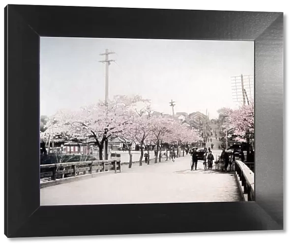 c. 1880s Japan Ushigomi-Mitsuki Tokyo - street