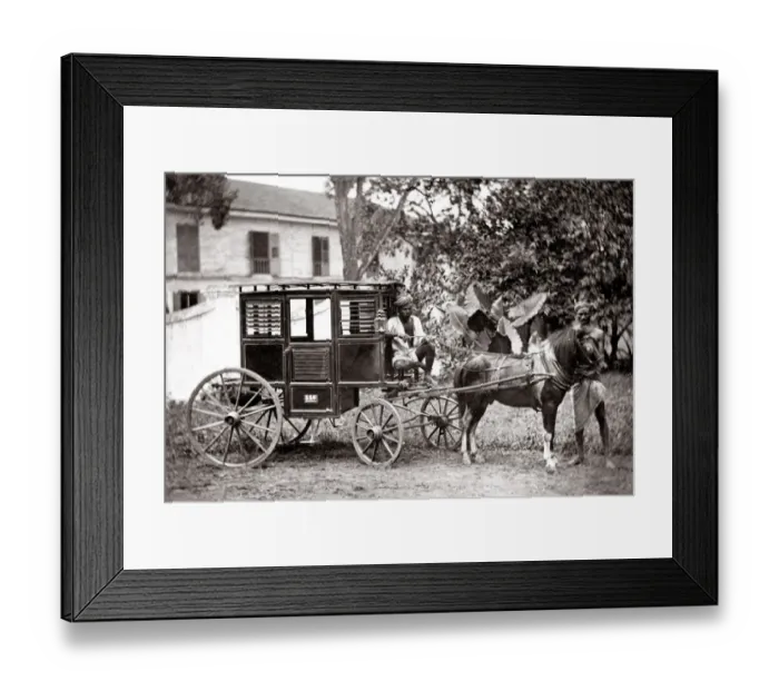 Framed Print : c. 1880s India - pony hackney carriage with driver Framed Print : c. 1880s India - pony hackney carriage with driver
