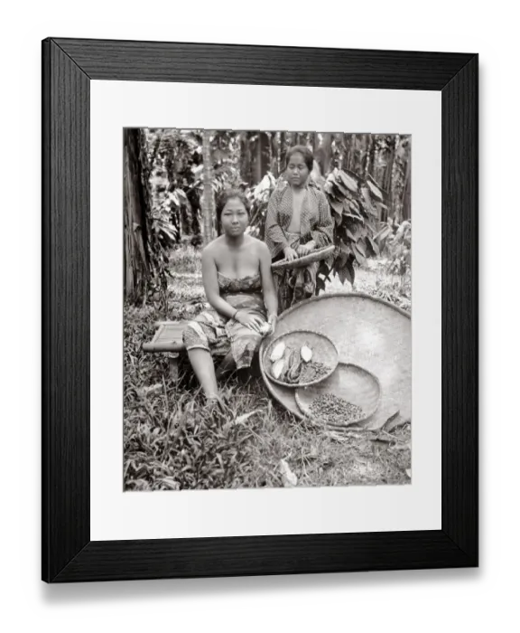 Framed Print : c. 1880 South East Asia - women harvesting coffee (?) beans Batavia Indonesia Framed Print : c. 1880 South East Asia - women harvesting coffee (?) beans Batavia Indonesia