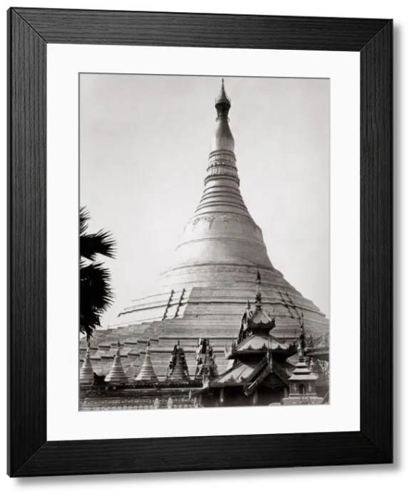 Framed Print : c. 1880s India Burma - The Shwedagon Pagoda Framed Print : c. 1880s India Burma - The Shwedagon Pagoda