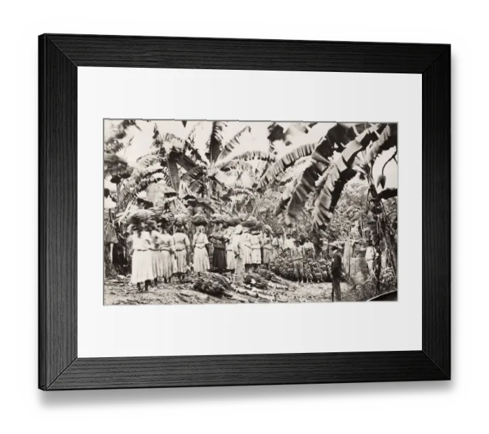 Framed Print : Workers on a banana plantation, West Indies? Framed Print : Workers on a banana plantation, West Indies?
