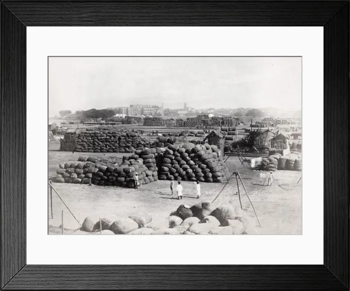 Framed Print : Cotton bales waiting for export, India Framed Print : Cotton bales waiting for export, India