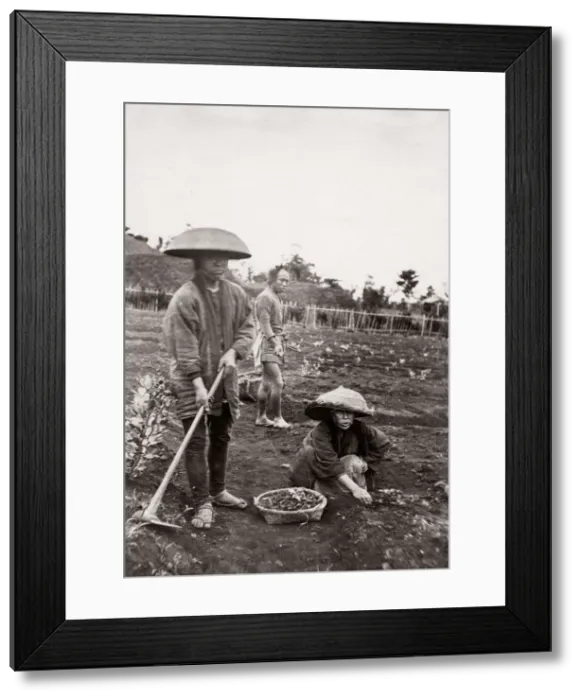 Framed Print : 1871 Japan - from The Far East magazine Framed Print : 1871 Japan - from The Far East magazine