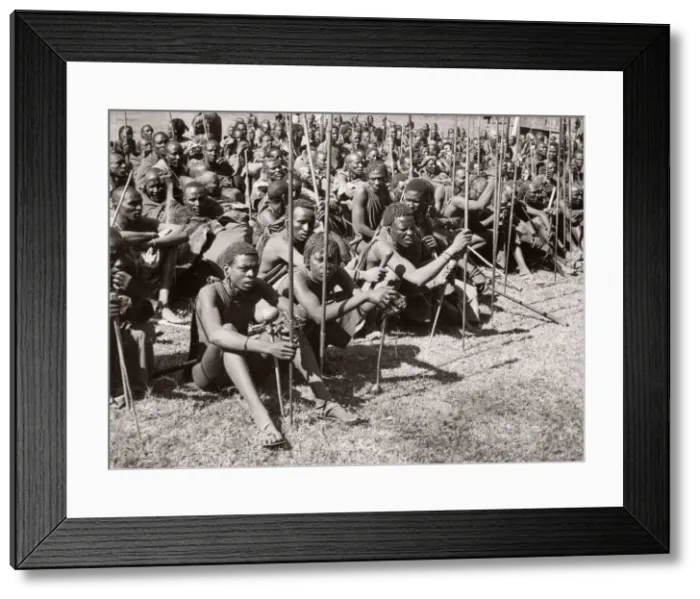 Framed Print : 1940s East Africa Kenya Msai tribe warriors Framed Print : 1940s East Africa Kenya Msai tribe warriors