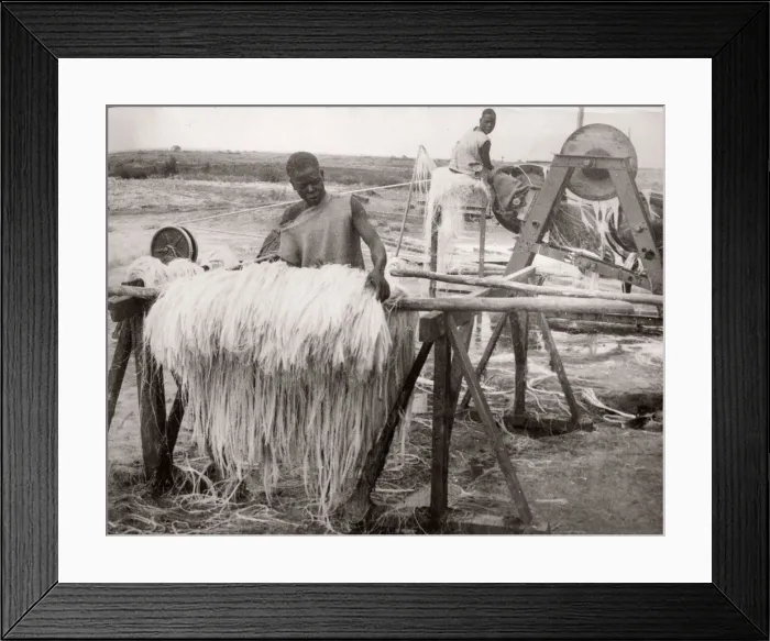 Framed Print : 1940s East Africa - making sisal, Kenya Framed Print : 1940s East Africa - making sisal, Kenya