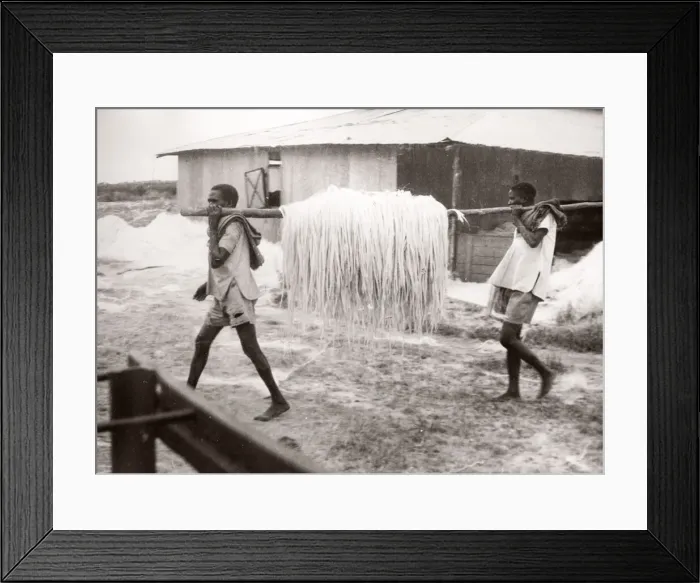 Framed Print : 1940s East Africa - making sisal, Kenya Framed Print : 1940s East Africa - making sisal, Kenya