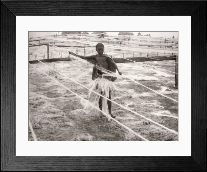 Framed Print : 1940s East Africa - making sisal, Kenya Framed Print : 1940s East Africa - making sisal, Kenya