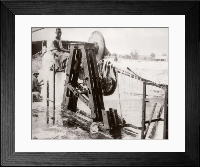 Framed Print : 1940s East Africa - making sisal, Kenya Framed Print : 1940s East Africa - making sisal, Kenya