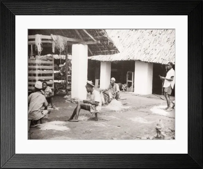 Framed Print : 1940s East Africa - making sisal, Kenya Framed Print : 1940s East Africa - making sisal, Kenya