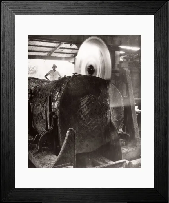 Framed Print : 1940s East Africa Uganda - Budongo forest Framed Print : 1940s East Africa Uganda - Budongo forest