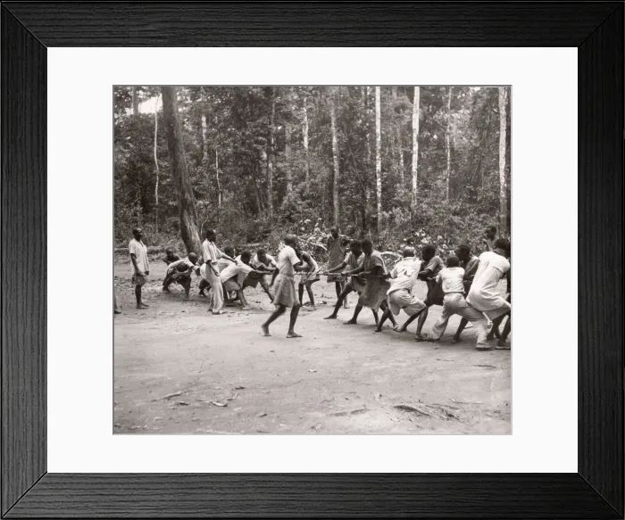 Framed Print : 1940s East Africa Uganda - Budongo forest Framed Print : 1940s East Africa Uganda - Budongo forest