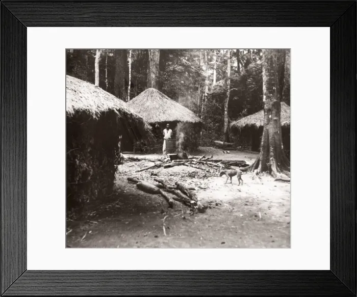 Framed Print : 1940s East Africa Uganda - Budongo forest Framed Print : 1940s East Africa Uganda - Budongo forest