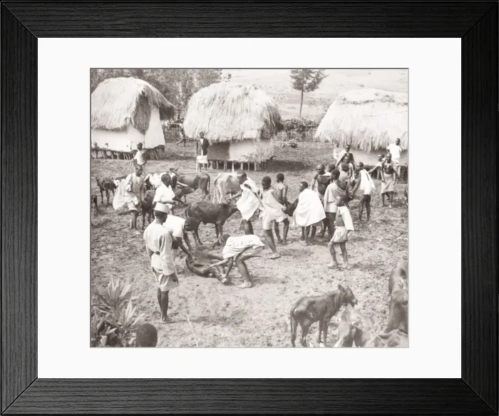 Framed Print : East Africa - Uganda inoculation campaign tsetse fly Framed Print : East Africa - Uganda inoculation campaign tsetse fly