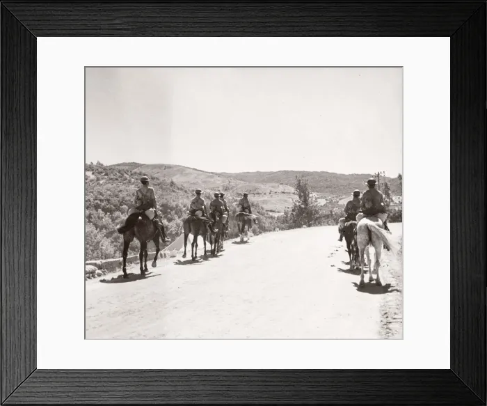 Framed Print : 1943 Syria Trans-Jordanian Frontier Force TJFF regiment Framed Print : 1943 Syria Trans-Jordanian Frontier Force TJFF regiment