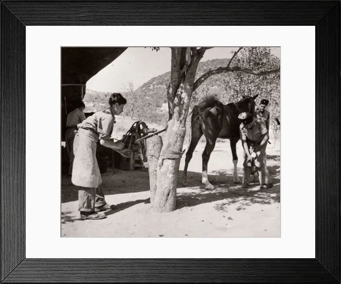 Framed Print : 1943 Syria Trans-Jordanian Frontier Force TJFF regiment Framed Print : 1943 Syria Trans-Jordanian Frontier Force TJFF regiment