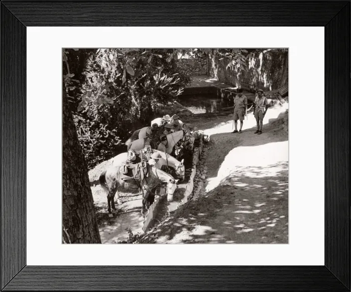 Framed Print : 1943 Syria Trans-Jordanian Frontier Force TJFF regiment Framed Print : 1943 Syria Trans-Jordanian Frontier Force TJFF regiment